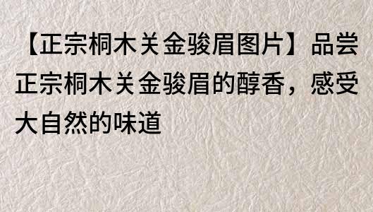 【正宗桐木關金駿眉圖片】品嘗正宗桐木關金駿眉的醇香，感受大自然的味道
