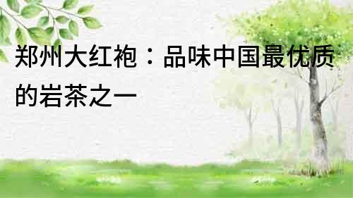 鄭州大紅袍：品味中國(guó)最優(yōu)質(zhì)的巖茶之一