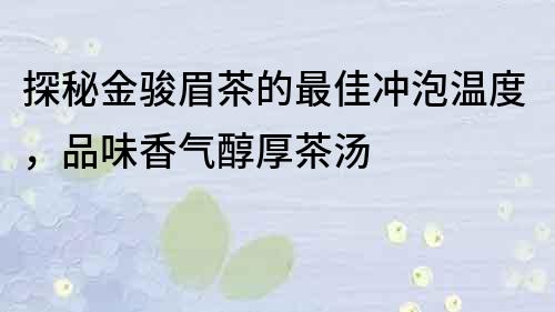 探秘金駿眉茶的最佳沖泡溫度，品味香氣醇厚茶湯