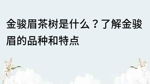 金駿眉茶樹是什么？了解金駿眉的品種和特點