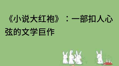 《小說大紅袍》：一部扣人心弦的文學(xué)巨作