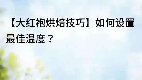 【大紅袍烘焙技巧】如何設置最佳溫度？