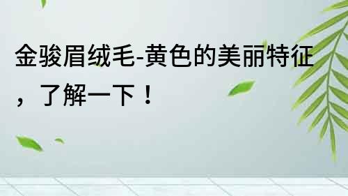 金駿眉絨毛-黃色的美麗特征，了解一下！