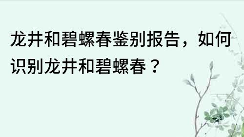 龍井和碧螺春鑒別報告，如何識別龍井和碧螺春？