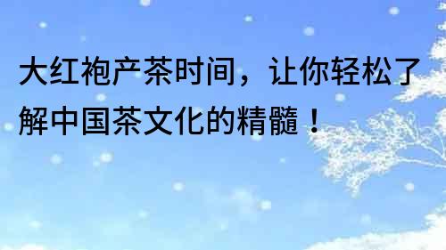 大紅袍產茶時間，讓你輕松了解中國茶文化的精髓！