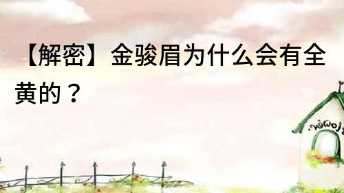 【解密】金駿眉為什么會有全黃的？
