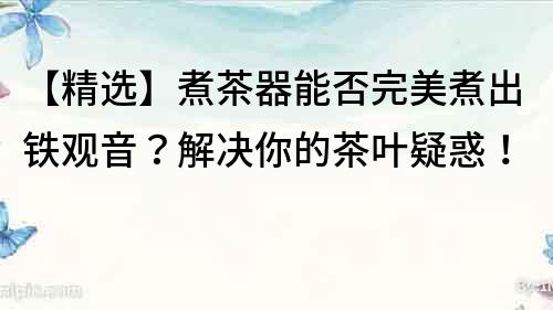 【精選】煮茶器能否完美煮出鐵觀音？解決你的茶葉疑惑！