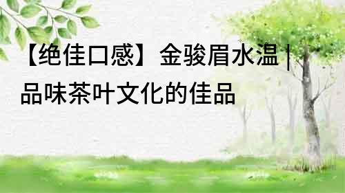 【絕佳口感】金駿眉水溫 | 品味茶葉文化的佳品