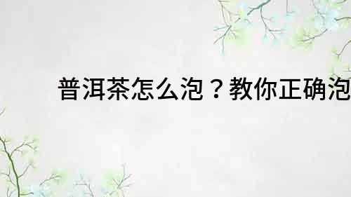 普洱茶怎么泡？教你正確泡法