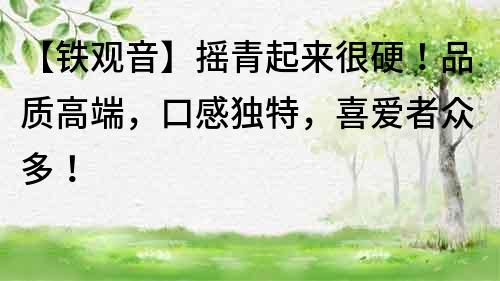 【鐵觀音】搖青起來很硬！品質高端，口感獨特，喜愛者眾多！