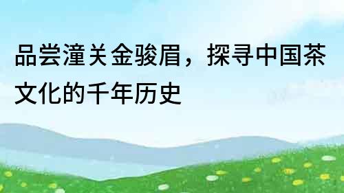 品嘗潼關金駿眉，探尋中國茶文化的千年歷史