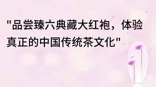 品嘗臻六典藏大紅袍，體驗真正的中國傳統茶文化