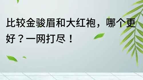 比較金駿眉和大紅袍，哪個(gè)更好？一網(wǎng)打盡！