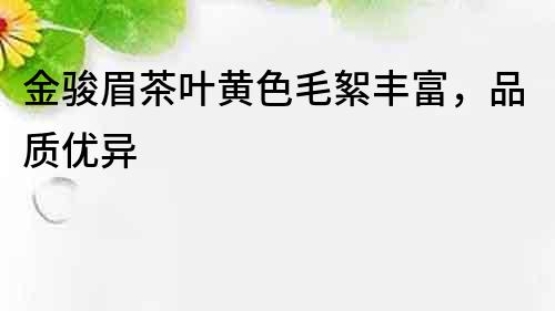 金駿眉茶葉黃色毛絮豐富，品質優異