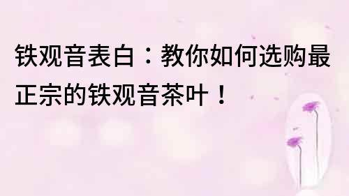 鐵觀音表白：教你如何選購最正宗的鐵觀音茶葉！