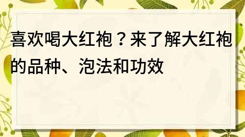 喜歡喝大紅袍？來了解大紅袍的品種、泡法和功效