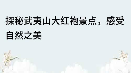 探秘武夷山大紅袍景點(diǎn)，感受自然之美