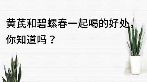 黃芪和碧螺春一起喝的好處，你知道嗎？