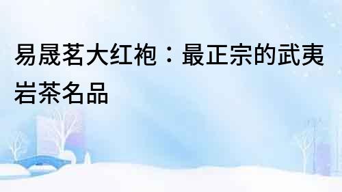易晟茗大紅袍：最正宗的武夷巖茶名品