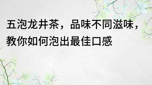 五泡龍井茶，品味不同滋味，教你如何泡出最佳口感