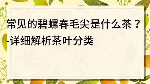 常見的碧螺春毛尖是什么茶？-詳細解析茶葉分類