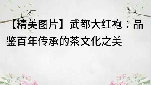 【精美圖片】武都大紅袍：品鑒百年傳承的茶文化之美