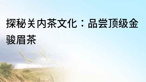 探秘關(guān)內(nèi)茶文化：品嘗頂級(jí)金駿眉茶