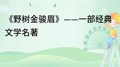 《野樹金駿眉》——一部經典文學名著
