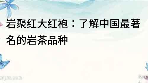 巖聚紅大紅袍：了解中國最著名的巖茶品種