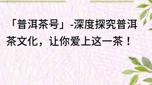 「普洱茶號」-深度探究普洱茶文化，讓你愛上這一茶！