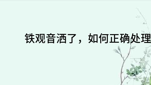 鐵觀音灑了，如何正確處理？