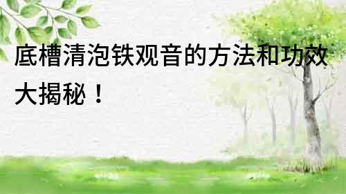 底槽清泡鐵觀音的方法和功效大揭秘！