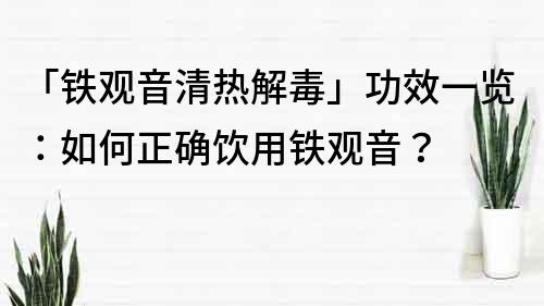 「鐵觀音清熱解毒」功效一覽：如何正確飲用鐵觀音？