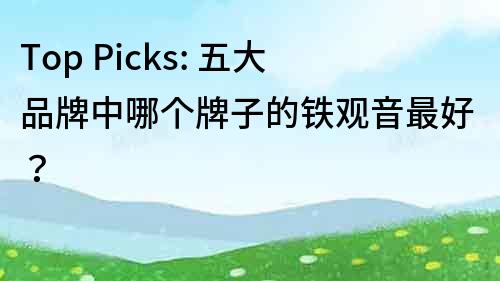 Top Picks: 五大品牌中哪個(gè)牌子的鐵觀音最好？