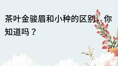 茶葉金駿眉和小種的區別，你知道嗎？
