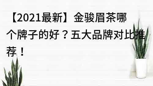 【2021最新】金駿眉茶哪個(gè)牌子的好？五大品牌對比推薦！
