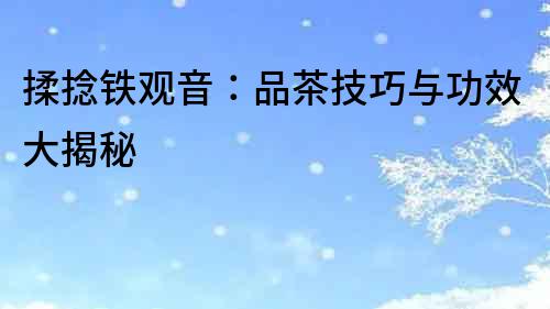 揉捻鐵觀音：品茶技巧與功效大揭秘