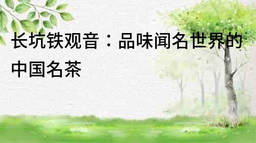 長坑鐵觀音：品味聞名世界的中國名茶