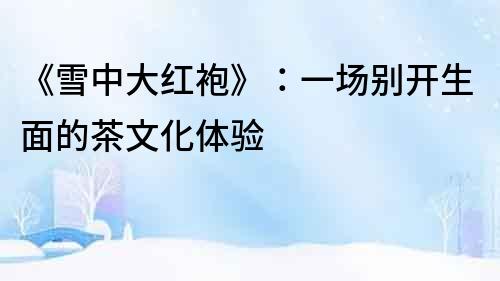 《雪中大紅袍》：一場別開生面的茶文化體驗(yàn)