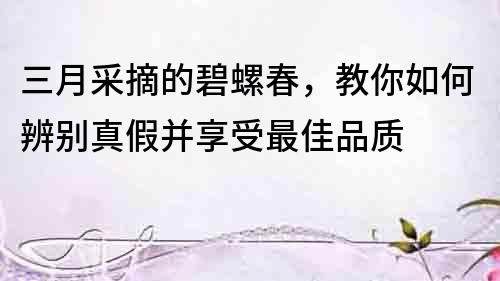 三月采摘的碧螺春，教你如何辨別真假并享受最佳品質