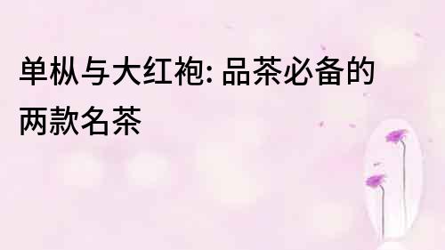 單樅與大紅袍: 品茶必備的兩款名茶