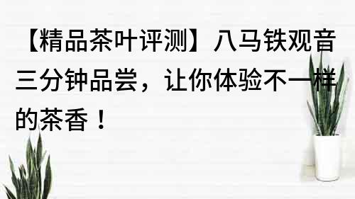 【精品茶葉評測】八馬鐵觀音三分鐘品嘗，讓你體驗不一樣的茶香！