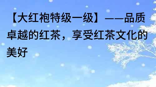【大紅袍特級一級】——品質卓越的紅茶，享受紅茶文化的美好