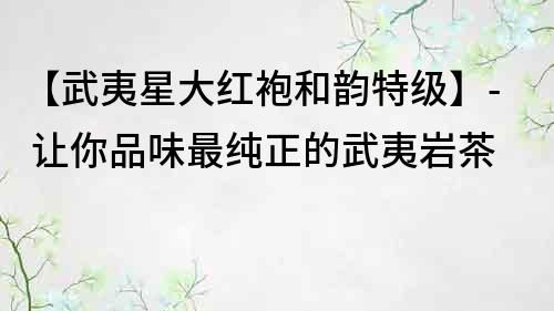 【武夷星大紅袍和韻特級】- 讓你品味最純正的武夷巖茶
