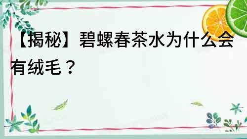 【揭秘】碧螺春茶水為什么會有絨毛？