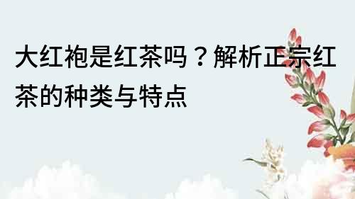 大紅袍是紅茶嗎？解析正宗紅茶的種類與特點