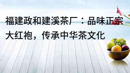 福建政和建溪茶廠：品味正宗大紅袍，傳承中華茶文化