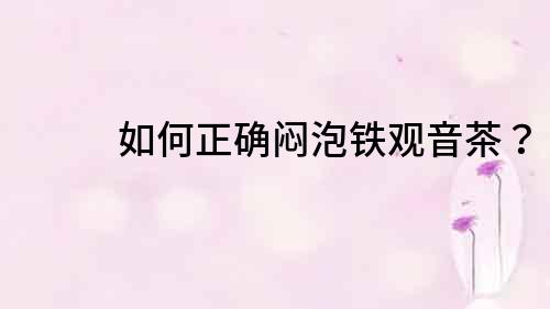 如何正確悶泡鐵觀音茶？