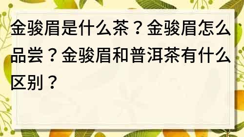 金駿眉是什么茶?金駿眉怎么品嘗?金駿眉和普洱茶有什么區別?