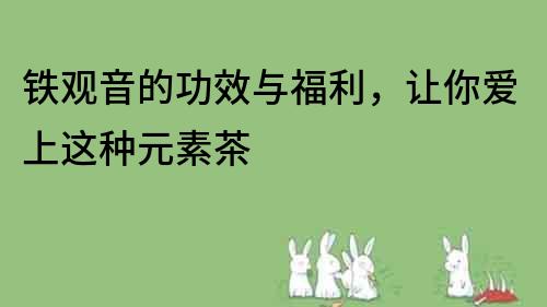 鐵觀音的功效與福利，讓你愛上這種元素茶